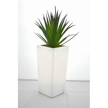 Plant Vase