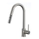 Kidall, brushed nickel kitchen faucet