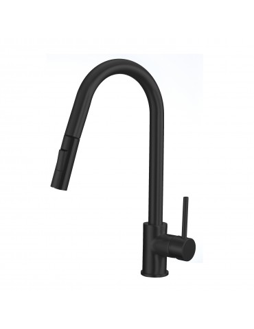 Kidall, matte black kitchen faucet