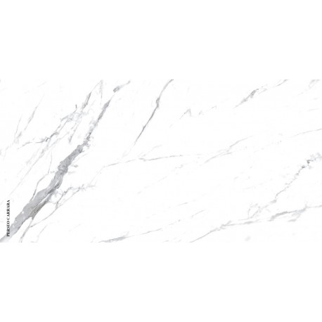 Perseo Carrara, Ceramic 24*48