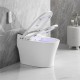 Vasio, One-piece smart toilet