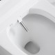 Vasio, One-piece smart toilet