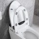 Vasio, One-piece smart toilet