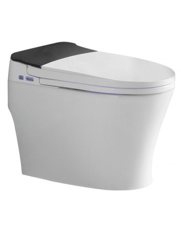 Vasio, One-piece smart toilet