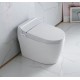 Vasio, One-piece smart toilet