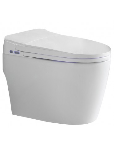 Vasio, One-piece smart toilet